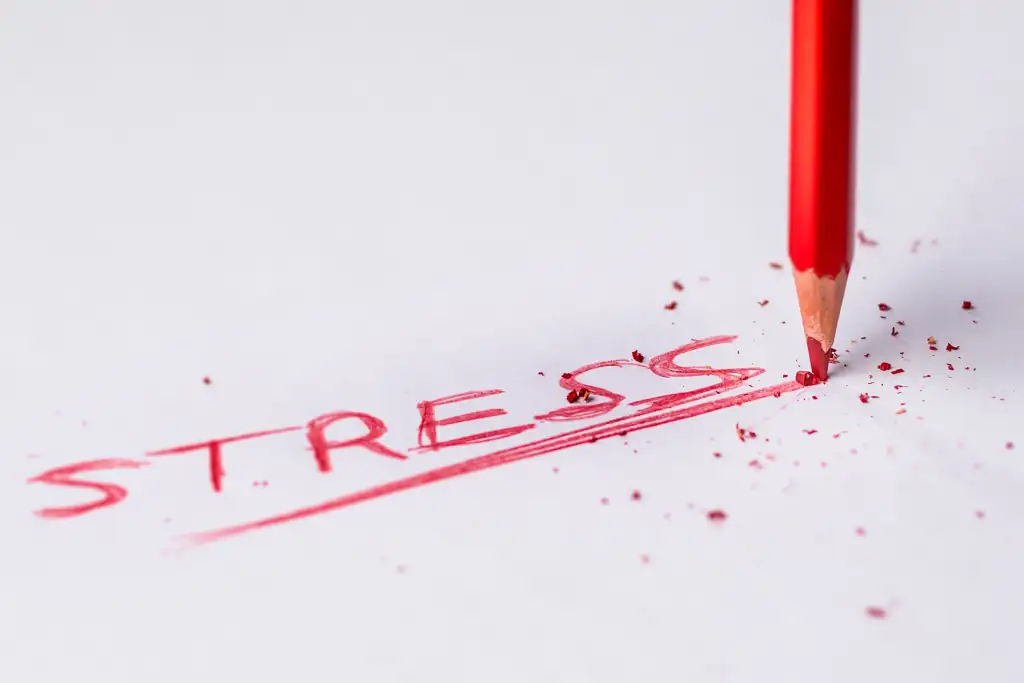 foglio bianco con scritto in rosso: stress